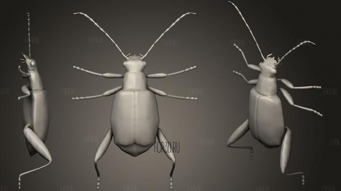 Leaf Beetle stl model for CNC